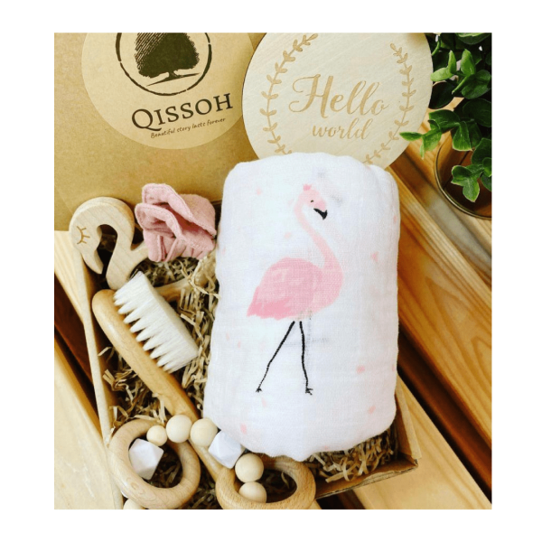 Beautiful-Flamingo